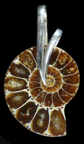 Ammonite Fossil Pendant - Sterling Silver #37974